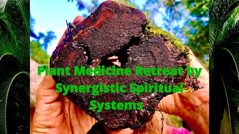 Magick and Medicine: The New Consciousness and Plant Medicine Retreat Update