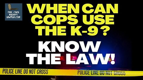 Police K9 Mauls Arrestee | When is Deploying a K9 Excessive Force? | Know The Law