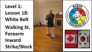 Baehr Taekwondo: 01-18: White Belt: Walking Stance - Forearm Inward Strike Block