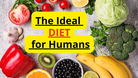 THE IDEAL DIET FOR HUMAN BODY!
