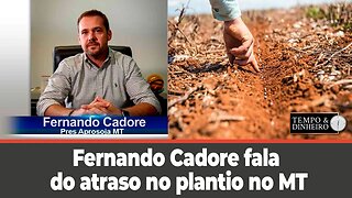 Safra 23/24 no MT-Fernando Cadore fala do atraso no plantio e de quem plantou nas altas temperaturas