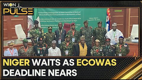 Will ECOWAS resort to force in Niger? | WION Pulse