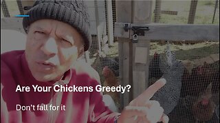 Are Your Chickens Greedy?