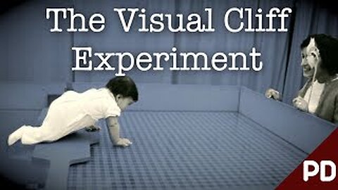 The Dark side of Science: The Visual Cliff Experiment 1960 _Documentary