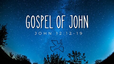 Bible Study on John 12:12-19