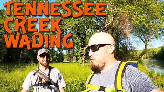 Tennessee Creek Wading ( Ft - Creek Fishing Adventures )