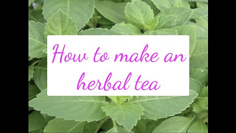 How to make an herbal tea....yum, basil!