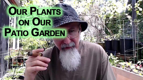 Let Me Show You Our Plants on Our Patio Garden: Every Community Should Give Away Free Seedlings ASMR