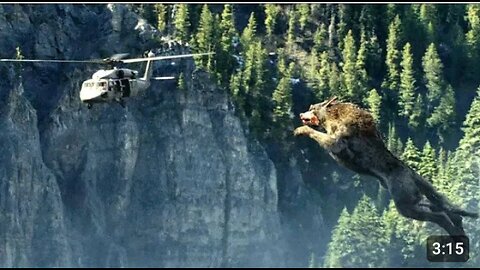 Gaint wolf Attack scene_wolf vs helicopter Hollywood movie scene#