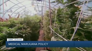Medical Marijuana Policy