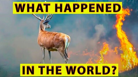 🔴What Happened On July 12-13, 2022?🔴Europe Is On Fire: Spain, Portugal, France🔴Locusts Attack Russia