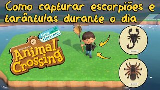 Como Capturar Escorpiões e Tarântulas de Dia - Animal Crossing New Horizons