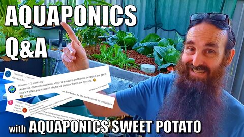 Aquaponics Q&A + Sweet Potato experiment - Dec 2021