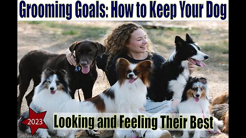 "Grooming Goals: How to Keep Your Dog Looking and Feeling Their Best"