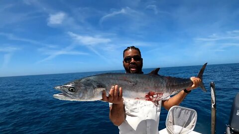 Trolling for HUGE kingfish off Tampa Bay ( 40 Pound Beast! )