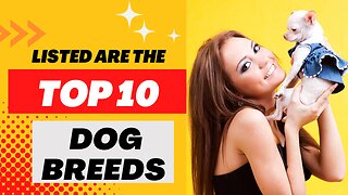 Listed Are The Top 10 Dog Breeds