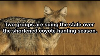 Two groups are suing the state over the shortened coyote hunting season.