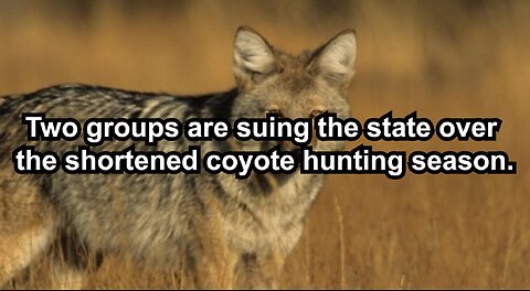 Two groups are suing the state over the shortened coyote hunting season.