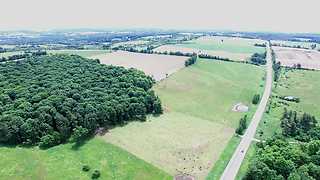 Stunning drone footage over beautiful (and famous) cattle farm