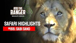 Safari Highlights #166: 29 Sep - 02 Oct 2012 | Sabi Sand Nature Reserve | Latest Wildlife Sightings