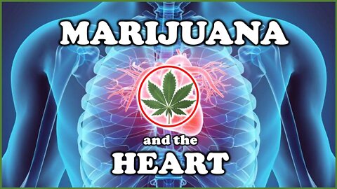Marijuana and Heart Attacks - Cannabis and Cardiovascular Disease