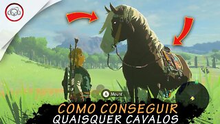 Zelda Breath of the Wild, Como conseguir quaisquer cavalos | super dica PT-BR