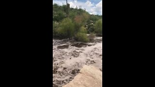 Flash flooding at Sabino Canyon