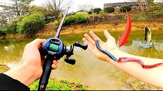 Fishing With GIANT Worms In URBAN Creek!!