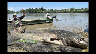 Italian Angler’s Incredible 9-Foot Wels Catfish Could Set a New IGFA World Record