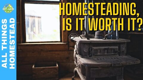 Start Homesteading - Is It Worth It To Homestead? // A Homestead Talk