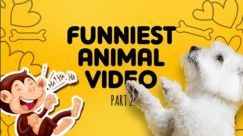 FUNNIEST ANIMAL COMPILATION VIDEO part 2