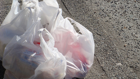 Support grows to ban plastic bags in Palm Beach County