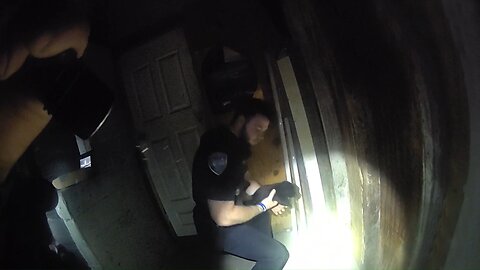 Police Respond to Burglary Call, Find Adorable Surprise Instead!
