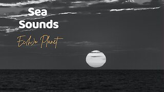 Sea waves sounds for sleep and stress healing | Relax and Study | Beat Insomnia | 3 Hours
