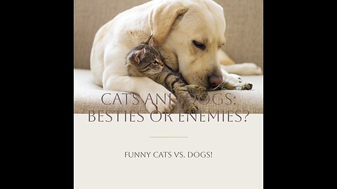 Funny Cats vs. Dogs! 😸🐶