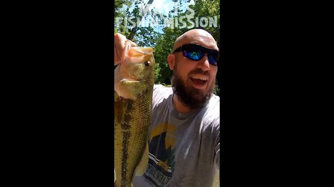 Largemouth bass in a WATERFALL! ( short version )