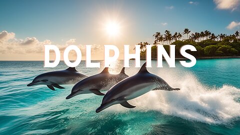 Dolphin Serenade: Relaxing Ocean Melodies & Majestic Sea Life