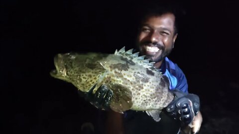 5കെജി ഹമൂർ ഫിഷ് ചൂണ്ടയിൽ പിടിച്ച് ഗ്രില്ലടിച്ചപ്പോൾ🔥🔥|WE GRILLED 5KG HOOKED GROUPER FISH IN KERALA S