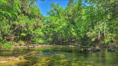 Spring break staycation? Check out Hillsborough River State Park