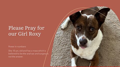 Please Pray for Roxy - Visualize her mass is gone - Power in Prayer