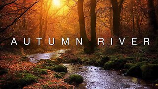 Autumn River | Water Flowing, Lapping | Relaxing Fall Nature Ambience | For 3 Hours