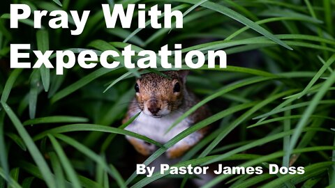 Pray With Expectation