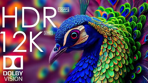 12K HDR 120fps Dolby Vision with Calming Music -Animal Colorful Life-