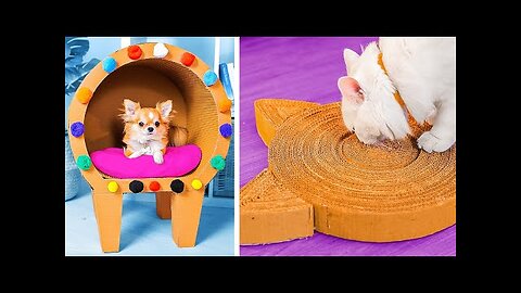 New Cardboard DIY Crafts: Fun Projects for Furry Friends & You! 📦🐾