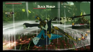 Hyrule Warriors: Age of Calamity - Challenge #135: Hunting Partners (Very Hard)