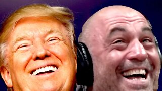 Joe Rogan: I'd Vote Trump Over Biden - Twitter Has MELTDOWN