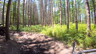 DCNR Dixon Miller ATV SXS trails, Poconos, PA