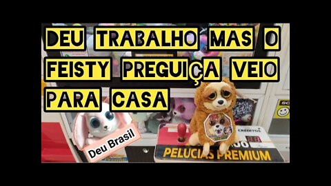 DEU TRABALHO, MAS O FEISTY PETS PREGUIÇA VEIO PARA CASA 👏👏👏