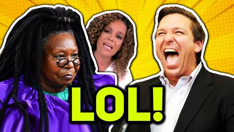 LOL: The View HYPOCRITES Get OWNED By Themselves