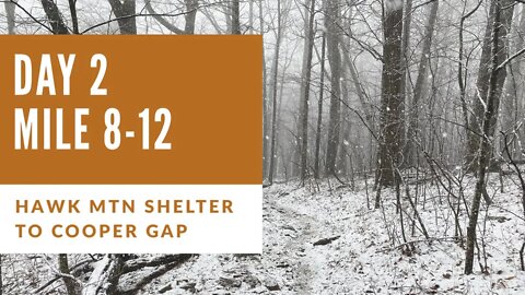 Day 2: Appalachian Trail / Hawk Mtn Shelter to Cooper Gap
